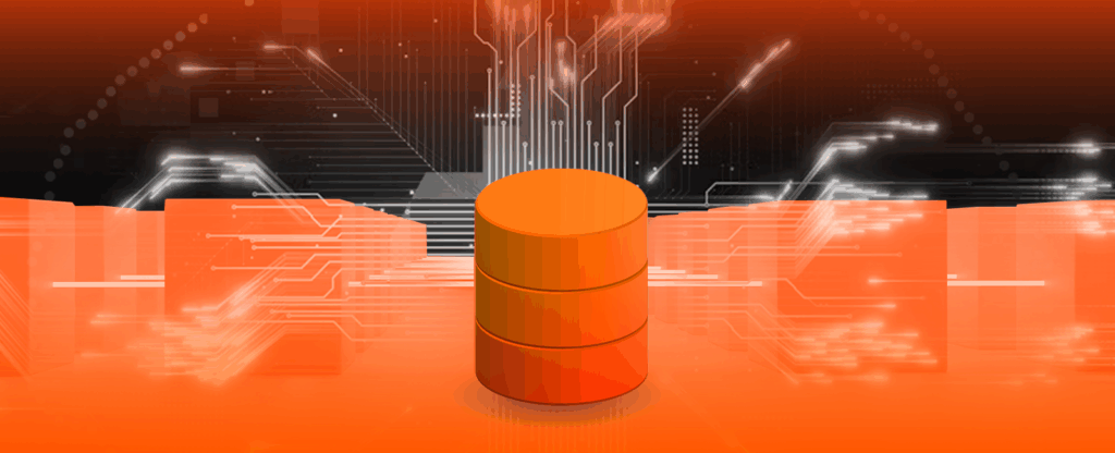 How to Develop a Database Application: Process and Cost
