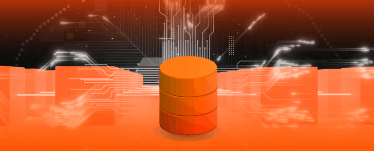 How to Develop a Database Application: Process and Cost