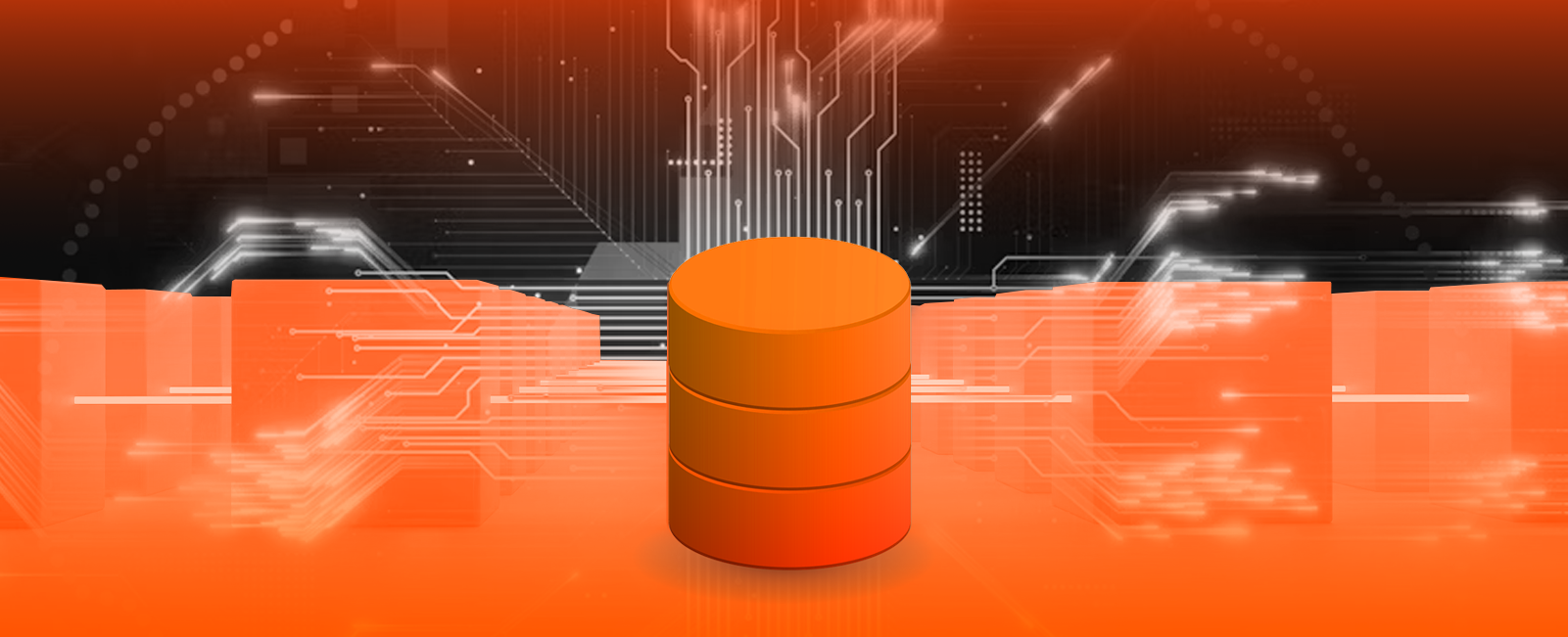 How to Develop a Database Application 